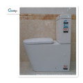 One-Piece Toilet with S-Trap&P-Trap Popular in Australia (A-6014)